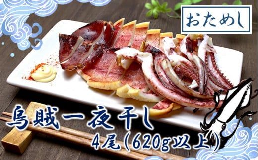 お試しサイズで一人暮らしにも!肉厚烏賊の一夜干し4尾(620g以上)_2433R