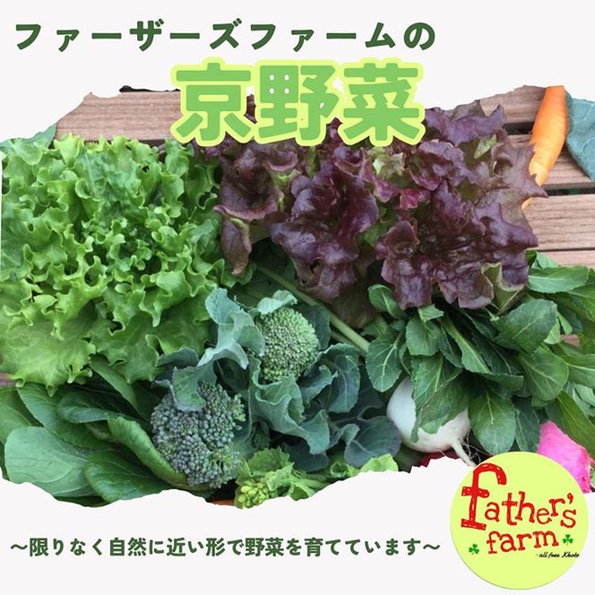 旬のこだわり 京野菜 セット 6～10種類＜ファーザーズファーム＞栽培期間中農薬不使用｜野菜 野菜詰め合わせ 野菜セット 京野菜 旬の野菜 新鮮野菜 ※北海道・沖縄・離島への配送不可