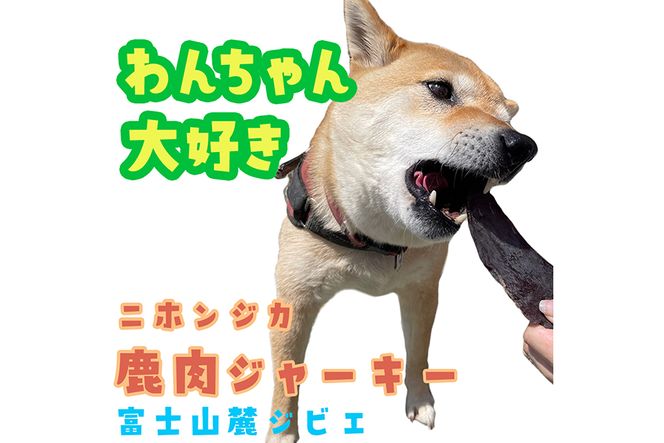無添加 ドッグフード 鹿肉ジャーキー 100g [TMY 山梨県 韮崎市 20743159] ペット 犬用 おやつ ジャーキー