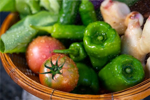越知産市の季節の野菜セット(年12回発送)　産地直送　旬野菜