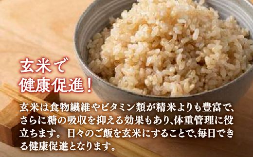 【令和6年産新米】ホクレン ゆめぴりか 玄米12kg（3kg×4） TYUA049