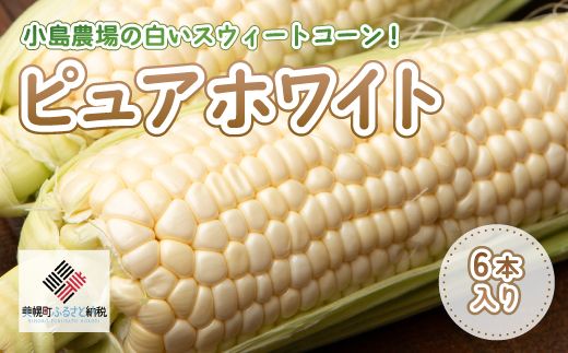 【先行予約】小島農場の白いスウィートコーン！ピュアホワイト6本入り【配送不可地域：離島・沖縄県】（2026年7月上旬より順次発送） BHRG013