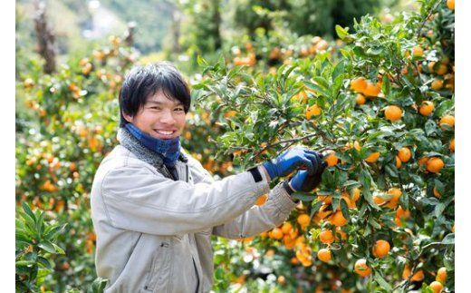 温州みかん（生果）5kg ※2024年11月上旬～12月下旬頃に順次発送予定