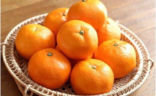 [秀品]有田のブランド「賢みかん」5kg(Lサイズ) 【2025年11月中旬頃より順次発送】 BZ009