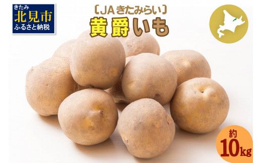 【予約：2024年10月中旬から順次発送】北海道 JAきたみらい「黄爵(とうや)いも」10kg ( 期間限定 野菜 芋 )【005-0013-2024】