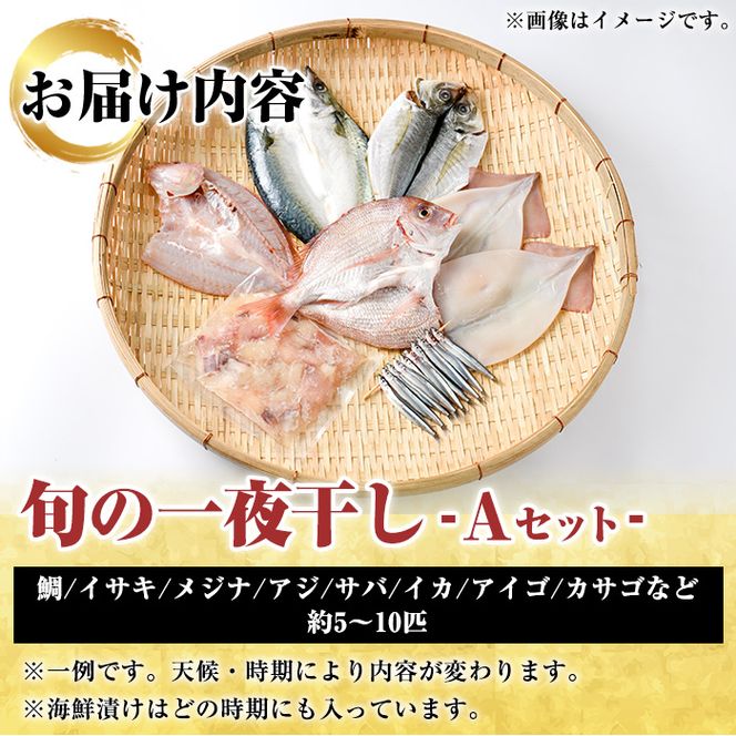 数量限定！阿久根市産の旬の一夜干しグルメ＜A＞セット(鯛・アジ・イカ・サバなど)国産 鮮魚 詰め合わせ お楽しみ 海の幸 魚介類 干物 海鮮【さるがく水産】a-12-205-z