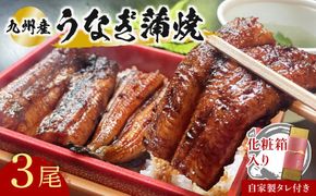 うなぎ 志おや 九州産 うなぎ 蒲焼 3本 タレ 付 【スピード発送】H-02 