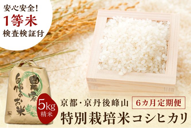 【6ヶ月定期便】2024年産 京都・京丹後峰山 特別栽培米コシヒカリ 5kg 【白米】 1等米 検査済証付　MF00029