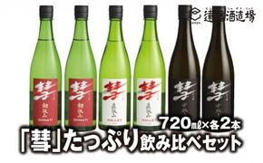 「彗」たっぷり飲み比べセット 720ml×各2本【6本セット】【短冊のし対応】《株式会社遠藤酒造場》