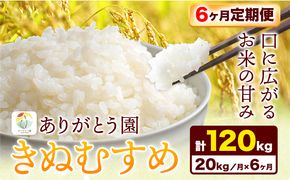 【6ヶ月定期便】 令和6年産 米 岡山県産 きぬむすめ 白米 20kg ありがとう園《お申込み月の翌月から出荷開始》岡山県 矢掛町 米 コメ 一等米 定期便 定期---osy_aekhtei_23_205500_mo6num_20---