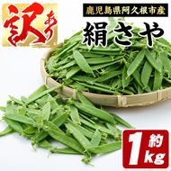 ＜先行予約受付中！2026年1月以降順次発送予定＞ご家庭用！訳あり！「絹さや」(1kg) 旬 国産 豆 マメ 絹さや 絹サヤ きぬさや 野菜 セット 詰め合わせ 訳アリ 数量限定 期間限定【黒坂青果】akn049-04