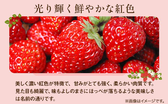 先行予約 いちご 紅ほっぺ 1000g(250g×4パック) JA笠岡アグリ《1月中旬出荷予定》岡山県 笠岡市 送料無料 苺 フルーツ 果物 お取り寄せ---A-24---