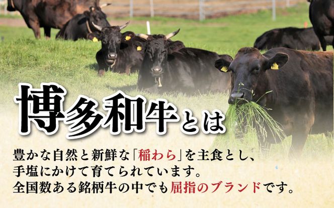 【全3回定期便】博多和牛 サーロイン ステーキ 200g × 5枚《築上町》【久田精肉店】[ABCL019]