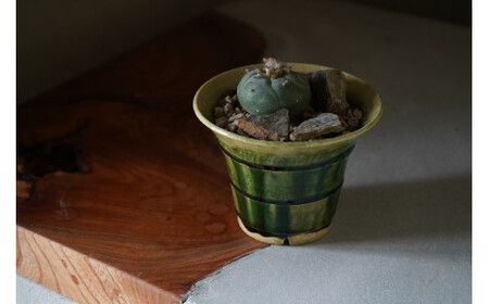 多治見市×春日井市コラボ 【美濃焼】 陶芸家「鈴木徹」植木鉢 S × 【日本有数のサボテン産地】 春日井市の名店 後藤サボテン
