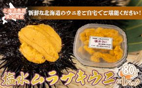 【令和7年度発送先行予約】うに 塩水 ムラサキウニ 80g 北海道 豊浦 噴火湾 雲丹【配送不可地域：離島】 TYUR020