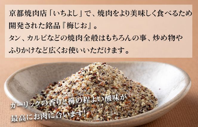 W118 焼き肉専門店 梅じお ガーリック スパイス 90g×1袋 お試し