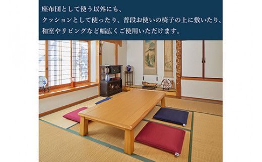 エアウィーヴ 座布団 大（銘仙判）ワインレッド