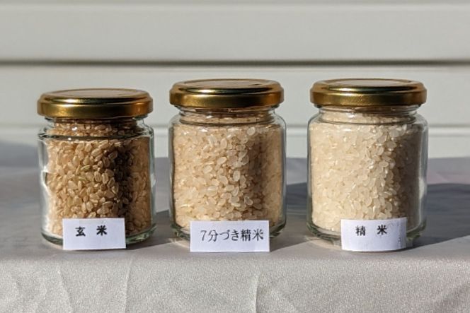 定期便 特別栽培米 コシヒカリ 7分づき 5kg×1×3回 総計15kg [農家にしの 石川県 宝達志水町 38600637] 米 お米 ご飯 ごはん