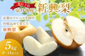 【先行予約／数量限定150】京丹後産 新興梨 5kg（8～14玉入り）（2026年10月中旬～発送）　JA00080