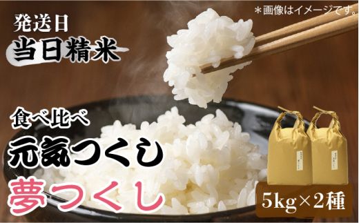 [先行予約]福岡県産[特A米]元気つくし[A米]夢つくしの食べ比べ 各5kg×2袋 [10kg] [白米][2024年11月下旬以降順次発送][築上町][株式会社ベネフィス][ABDF033]