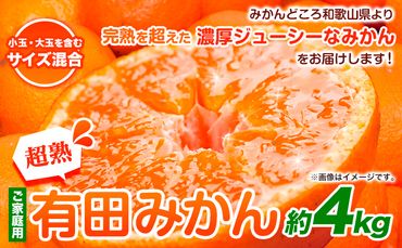 [先行予約]家庭用 超熟 有田 みかん 4kg+120g(傷み補償分)[わけあり・訳あり][光センサー選果]池田鹿蔵農園@日高町(池田農園株式会社)[11月上旬-12月末頃出荷]和歌山県 日高町[配送不可地域あり]みかん 有田みかん---wsh_idn65_11j12m_24_10000_4kg---