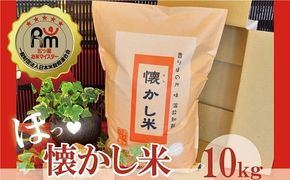 【お米マイスター】ほっ♡懐かし米　10kg　H056-108