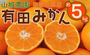 山城農園 和歌山県産 有田みかん 5kg 混サイズ 農園直送 ORYY 人気No.1 口コミ多数！    BA17