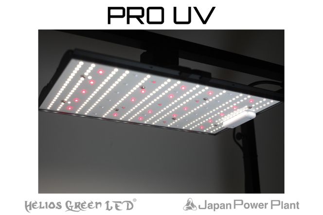 BN036-1　人気モデルPROに新ラインナップ「Helios Green LED PRO　UV」