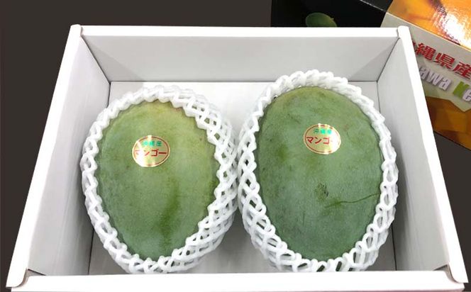 yꌧdzystzy2026Nz}g_ L[c}S[1.5kg - Yn Y Y ʕ t[c 썑t[c {̖o Ǐn s\ 󏭎 lC   ꌧ d