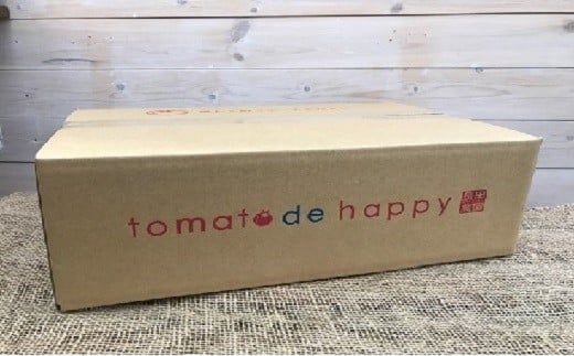 1月～6月毎月発送 まるでトマトの宝石箱！ジュエリートマトの定期便 6回コース H004-164