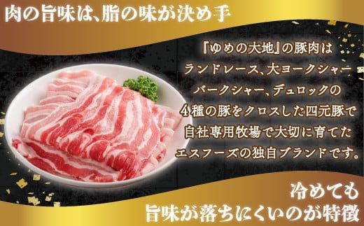 【平取町産四元豚】ゆめの大地豚バラスライス　200g×15パック計３ｋｇ ふるさと納税 人気 おすすめ ランキング 豚肉 肉 豚バラ 北海道 平取町 送料無料 BRTD002