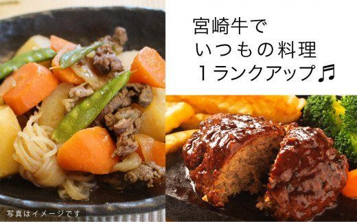 宮崎牛こま肉＆ミンチセット1kg [G7409]