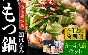 【全12回定期便】博多華味鳥 博多もつ鍋 鶏はらみ セット 3~4人前 《築上町》【トリゼンフーズ】博多 福岡 鍋 鶏 もつ もつ鍋[ABCN017]