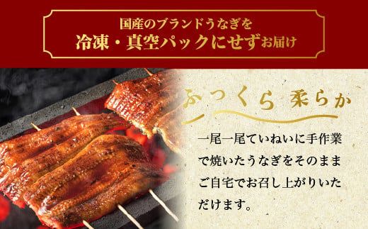 国産うなぎ白蒲セット4本【最短3日発送】うなぎの白焼き（120g～130g×2尾）、うなぎの蒲焼き（120g～130g×2尾）、男のきくらげのセット｜国産のブランド鰻を茨城県土浦市の職人が丁寧に作り上げた美味しい蒲焼きと白焼きです ※離島への配送不可