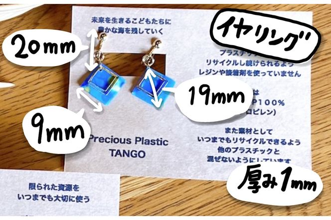 Precious Plastic イヤリング　EG00032