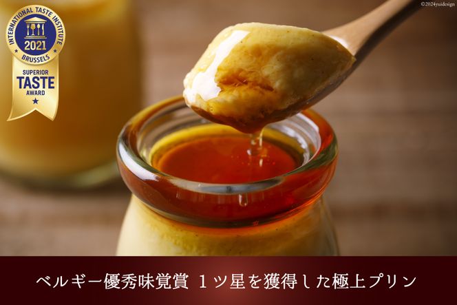 能登の極上素材プリン6個セット（プリン6個×シロップ2本） [宝達山本舗松月堂 石川県 宝達志水町 38600454] 