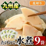 たけのこ水煮乱切り(計630g・70g×9袋)国産 九州産 筍 野菜 使い切り 小分け 個包装【上野食品】a-12-197-z