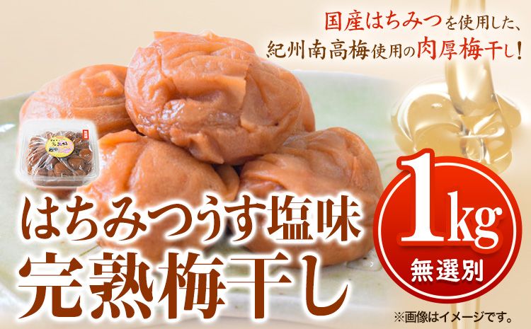 紀州南高梅使用 はちみつうす塩味完熟梅干し 無選別1kg 厳選館 [90日以内に出荷予定(土日祝除く)] 和歌山県 日高川町 紀州南高梅 はちみつうす塩 梅干し---wshg_tmt186_90d_24_14000_1kg---