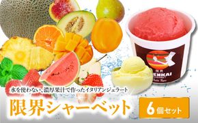 【J06018-S】【お中元ギフト】限界シャーベット 6個セット《7/1～8/8の期間にお届け》