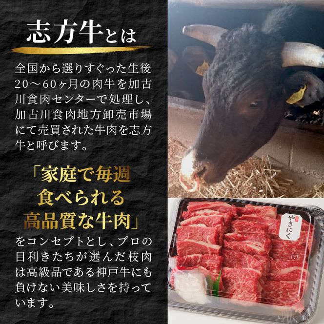 志方牛カルビ焼肉（500g）【2401A00202】