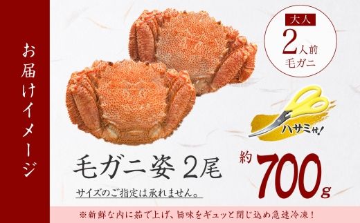 3334. 毛蟹 2尾 計700g前後 食べ方ガイド・専用ハサミ付 カニ かに 蟹 海鮮 ボイル 送料無料 北海道 弟子屈町