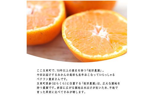 ご家庭用訳あり 熊本県玉東町産限定『坂田農園』のご家庭用みかん 大容量 約10kg(S-3Lサイズ)  フルーツ 秋 旬 玉東町70年のベテラン！濃厚な食味とジューシーな果汁 熊本県玉東町《10月上旬-1月末頃出荷》---sg_sktwmk_af101_25_11000_10kg---