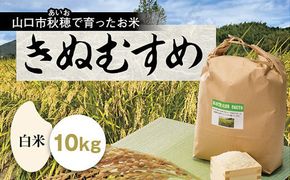 C120 あいお（秋穂）で育ったお米　きぬむすめ　白米10kg