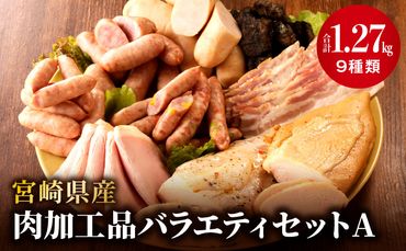宮崎県産肉加工品バラエティセットA（合計1.27ｋｇ9種類）_M009-011