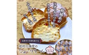 50年変わらない味！地元で人気のシュークリーム15個_1756R