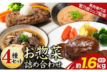 菅乃屋シェフのお惣菜詰め合わせ 4種セット 合計約1.6kg 千興ファーム[60日以内に出荷予定(土日祝除く)]馬肉専門店 監修 惣菜 お惣菜 セット 馬肉ハンバーグ 馬肉デミハンバーグ 馬スジ煮込み 馬もつ味噌煮込み 熊本県 御船町---sm_fsfsouzai_60d_23_13500_4set---