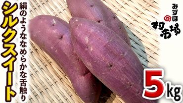 さつまいも 「 シルクスイート 」 5kg 旬 甘い 芋 いも サツマイモ スイーツ 野菜 [AM068us]