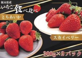 [先行予約・じゅわっと溢れだす] とちあいか＆スカイベリー食べ比べセット600g (12月中旬より順次発送予定)｜いちご イチゴ 苺 フルーツ 果物 産地直送 栃木県産 矢板市産 [0422]