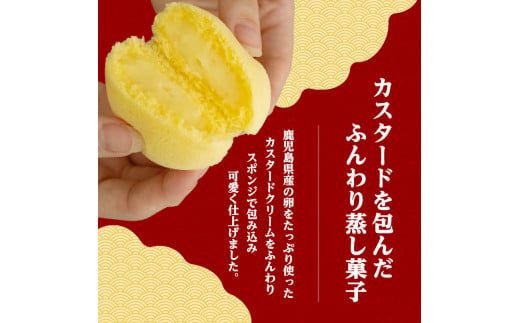 かすたどん 24個入　K167-002