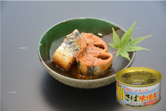 缶詰 三陸の海から ミヤカンのさば水煮・味噌煮セット 各175g×6缶 計12缶 [ミヤカン 宮城県 気仙沼市 20564182] 魚介 魚貝 缶詰 青魚 鯖 さば サバ 水煮 味噌煮 みそ煮 おかず 小分け 常備 ストック 長期保存